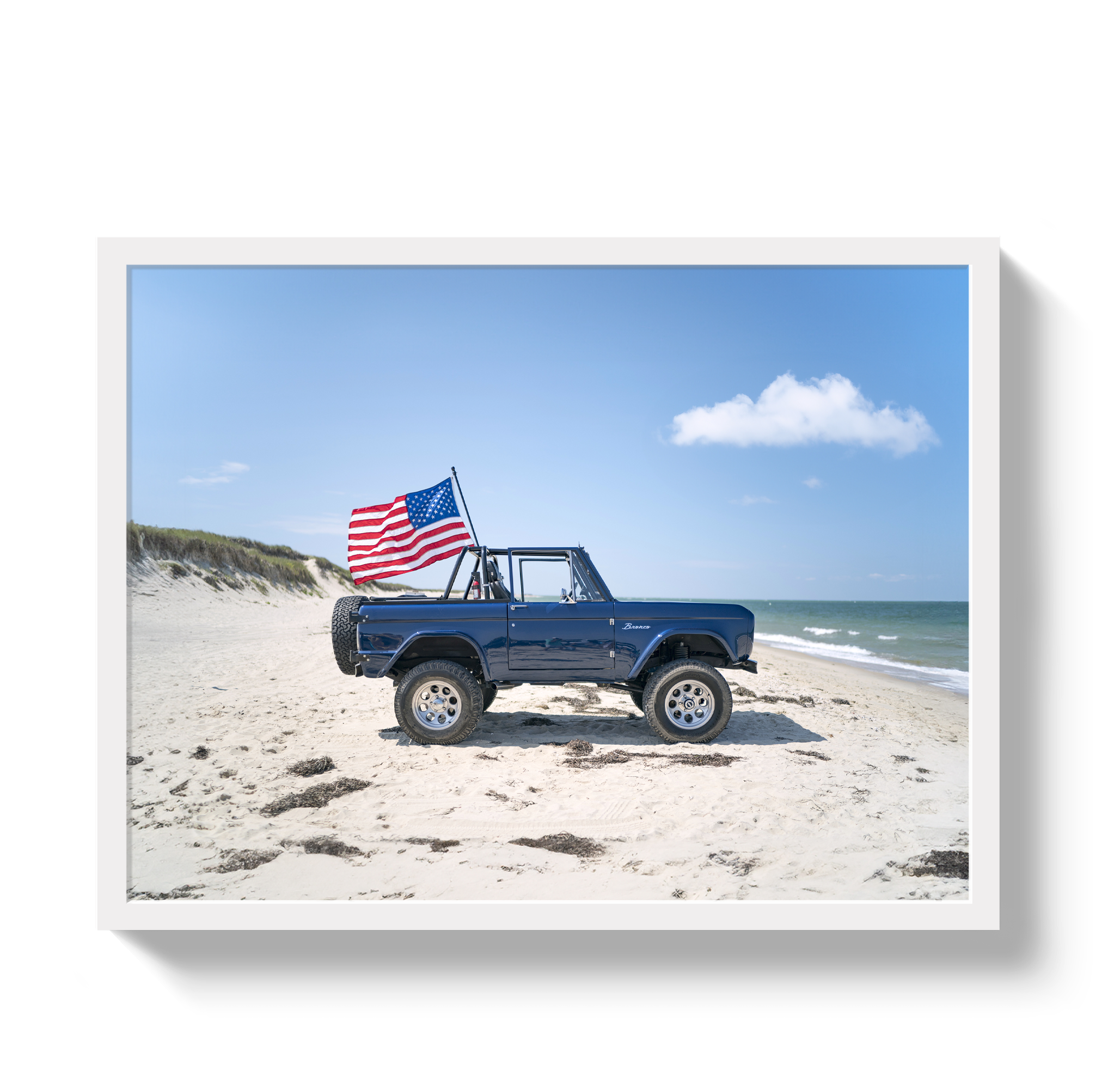 American Bronco