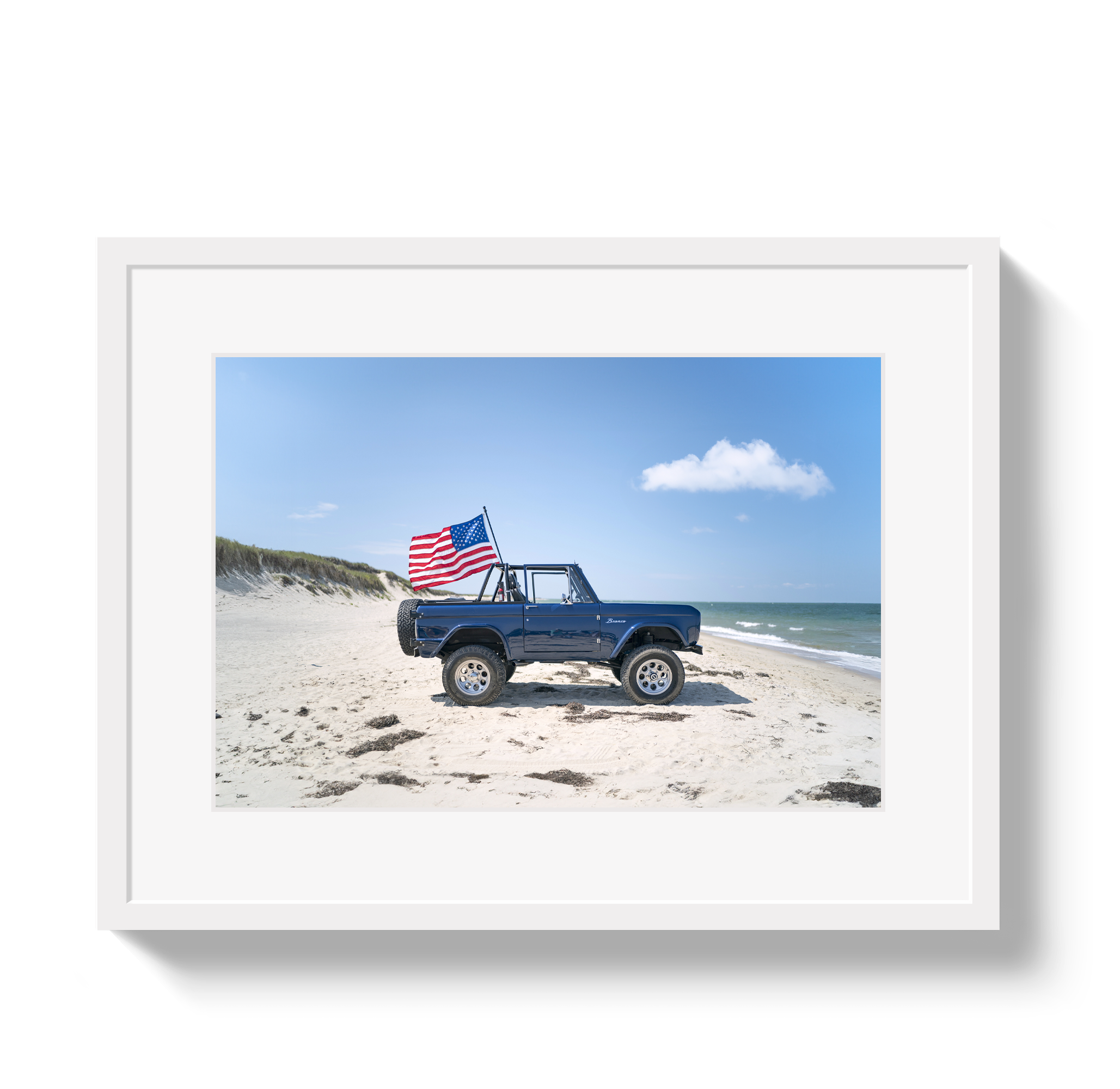 American Bronco